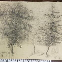 01317002067